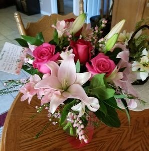 Meet your Posher, Ann